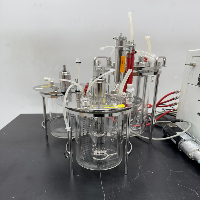 Sartorius Biostat A Plus Bioreactor image 2